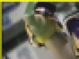 3222-2／「蒐集撮り・チアーでいこう（46）-2」