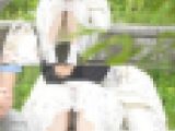 （ＦＨＤ）大変です！！彼氏に夢中になり、パンツが見えてますよ２０７