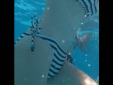 水中