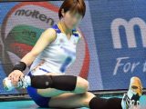 ホットバレーボール17・18・44ーレジェンド粘着撮りセット