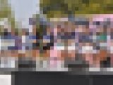 【一眼レフ撮影】【超高画質】社会人チア　XLイベント①-1【人気チア】【美女チア】