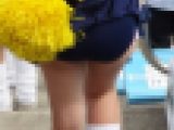 チア・パレード活動写真 Vol.13