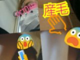 スカ～◯内、強引に亀入れ～っぽい動画～