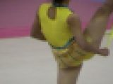 STD-8