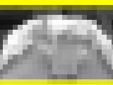 6028／「スウィング撮り・チアセクシーな歌が聞える（103）」