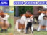 vol.575：2020年 お花見特集 第７弾