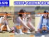 vol.573：2020年 お花見特集 第６弾