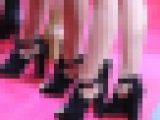 コンパニオン003