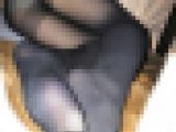 こたつの中の黒タイツ～こたいつ①動画編～