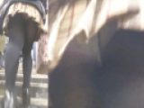 パンチラ盗撮 制服女子 白パンツが黒パンストの中に丸見え
