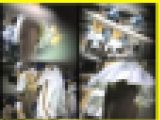 4311／「蒐集撮り・チアーでいこう（70）」