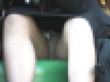 グリーンパークへようこそ80