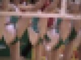 2884／「一心同体化撮り・萌えよチアガール、おいらが胸に（１）」