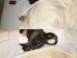 【ビジホ】【睡●悪戯】侵入。後輩が酔い潰れてた