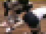 3433／「一心同体化撮り・萌えよ女子バレー、おいらが胸に（33）」