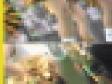 5723／「蒐集撮り・チアーでいこう（74）」