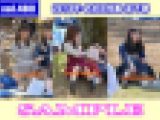 vol.480：2018年 お花見特集 第７弾