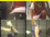 2559／「蒐集撮り・チアーでいこう（13）」