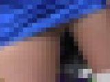 5008／「偽装撮り・クィンちゃん私家盤コレクション（20）」