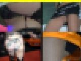 4443／「探り撮り・キャンちゃんがくれた秘境大冒険（60）」