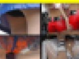 4535／「偽装撮り・クィンちゃん私家盤コレクション（７）」