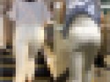 【再販商品です】No.62「上品な美人妻の白パンツ」