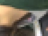 【お得セット】胸元の殿堂vol.81-90