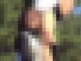 華麗な〇学生競技チア（年一のインカレイベント）