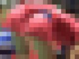 2475／『いつくしみ撮り・私一人のオグシオ（小椋＊美子・潮田＊子ペアー）』
