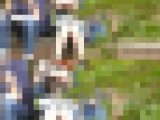 お座りお姉さん発見！！（ＦＨＤ）大変です！！パンツが見えてますよ１７１