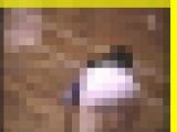3236／「蒐集撮り・バドミントンでいこう（20）」