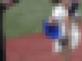なにわガールズ698 【4K】 驚愕の映像 DE シコッティタイムや！連続攻撃フェーズ198 沁みるハイキックやわぁ！　最高や！
