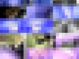 【GWセール！】ちゃんと帰れたかな？新学期、駅で迷っている学生風女子を追いかけてチカン！他１本【再販】