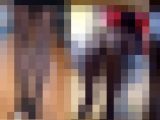 極上美脚の黒パンストOLをテーブルの下から覗いてみた。