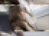 電車おっぱい揉み18 可愛すぎておじさん大興奮！！夏休み中に触られちゃうコ！！！