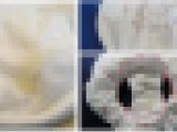 水泳教室お宝発掘　ぶっかけ編①　星柄の染み付きパンツのクロッチに……
