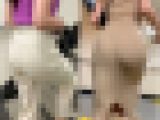 【再販商品です】   No.525「モデルの質が段違い！極上美女の美ヒップ2選」