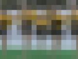 【ご紹介ボーナス発動中】短期爆発！チア伝説～4K天馬編～partA