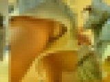 パンチラ臨場感（大量激カワ娘編⑭）