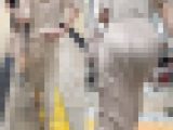 【再販】No.651「すっごいスタイルのワンピ美女2選」