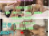 【危険作33SP】850円！サービス動画！美尻・美クビレ・美白！本番絶対NG可愛いギャルを落としやりまくりを3つの角度で堪能