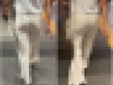【再販】《４K・高画質》 No.826「透けPラインで結婚式に向かうニットワンピドレス姿」