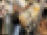 【下からの眺め62】３度目の登場！スレンダーＯＬをじっくり観察！