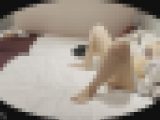 覗かれ女子！あ〇ちゃん似のあの子がホテルの部屋で内緒のオナニー