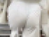 【再販】《４K・高画質》 No.1087「白Tバックです！走りまくって魅力的な肉尻を 揺らすショートヘア美女」