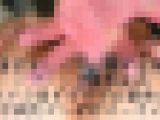垂直型まんぐりde指ずぼｗ令和最新ハプニング撮影会26ｗ自ら拡げてがっつり指ずぼｗ最後は中田氏マンの生てぃんぽde発射オーライｗ